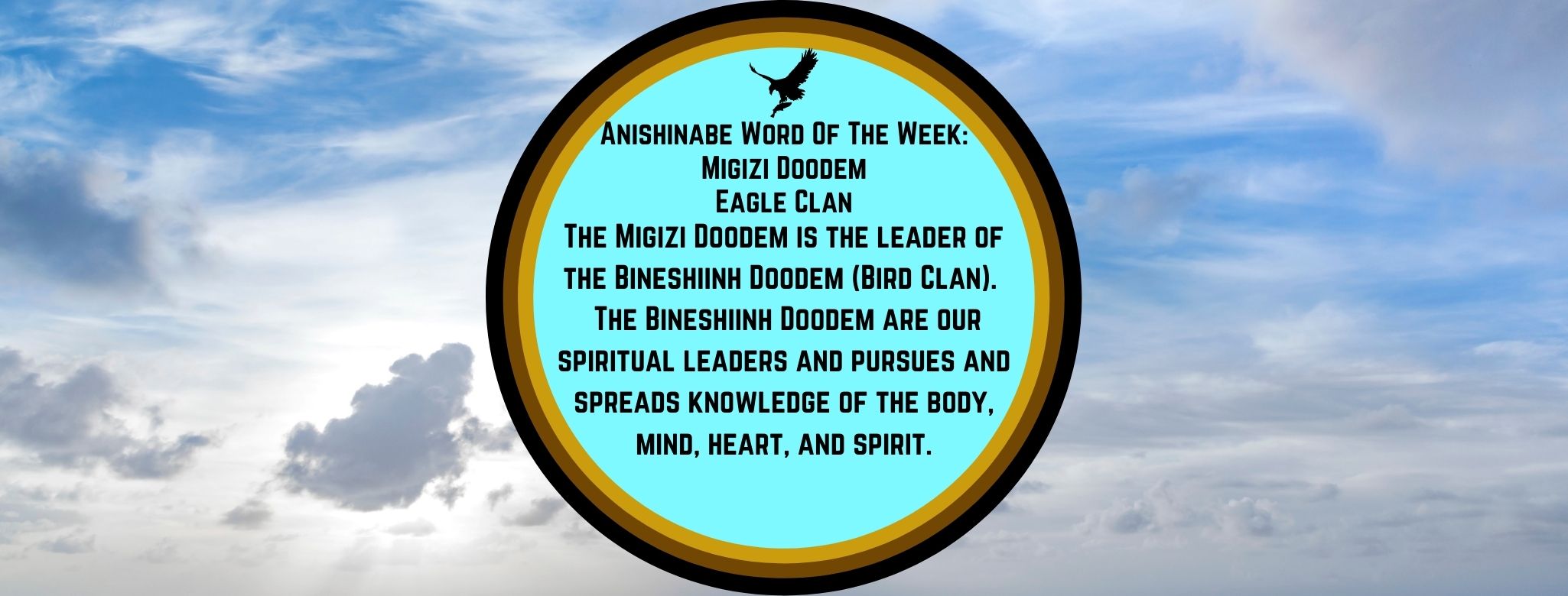 Anishinabe Word of the Week Migizi Dodem